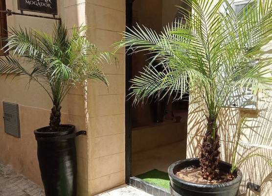 Riad Le Khan Mogador 1