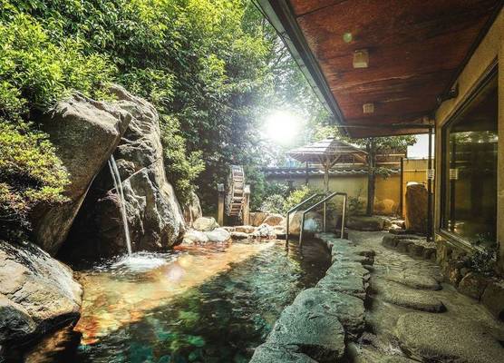 Nara Park Hotel 1