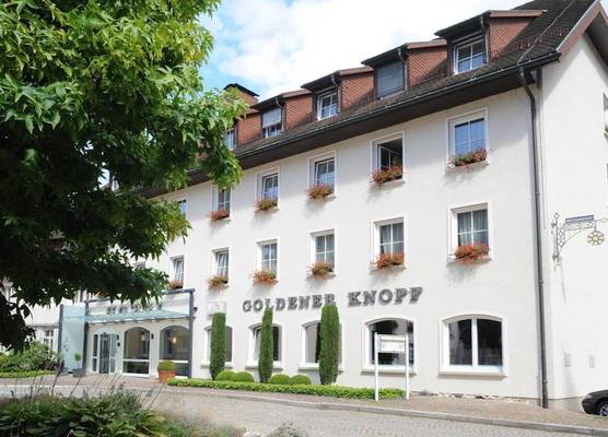 Hotel Goldener Knopf 1