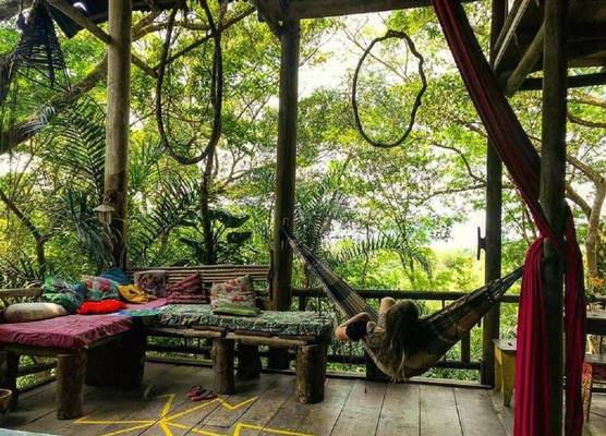 ReMo Treehouse Hostel 1