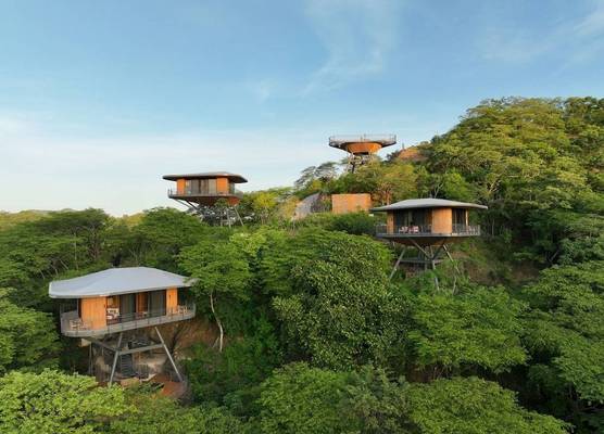 Suitree Experience Hotel 1
