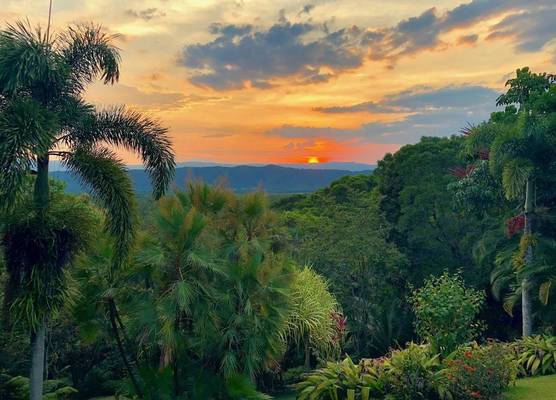 Daintree Manor B&B 1