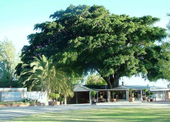 Damas Guest Farm 1