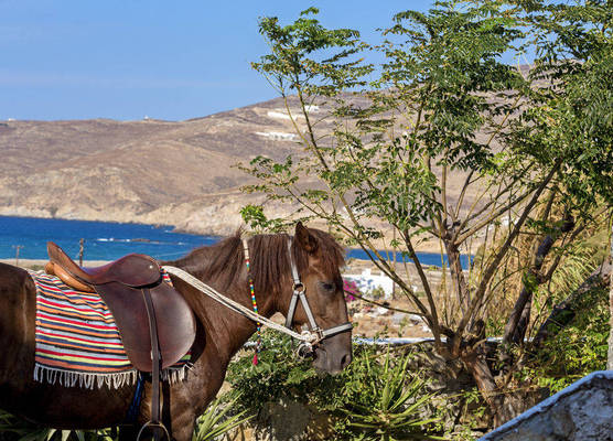 Anamar Mykonos 1