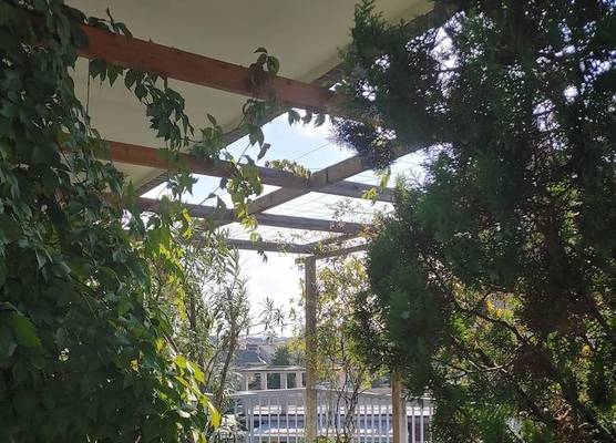 Buonarroti Roof Garden Mita Milano 1