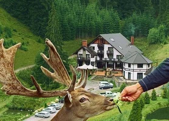 Mi Chalet - Poiana Izvoarelor 1