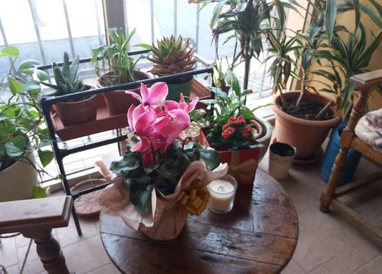 "LA MAISON DEL CORSO" Hospitality 1