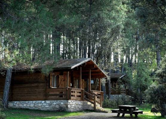 Cabañas Llano de los Conejos 1