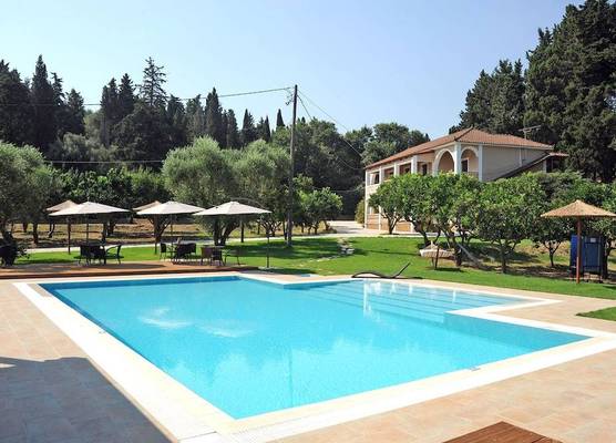 Eleas gi (Olive Grove Estate) 1