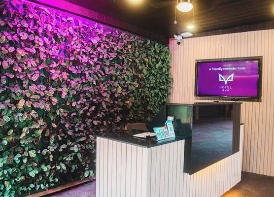 Hotel Ava Malate 1