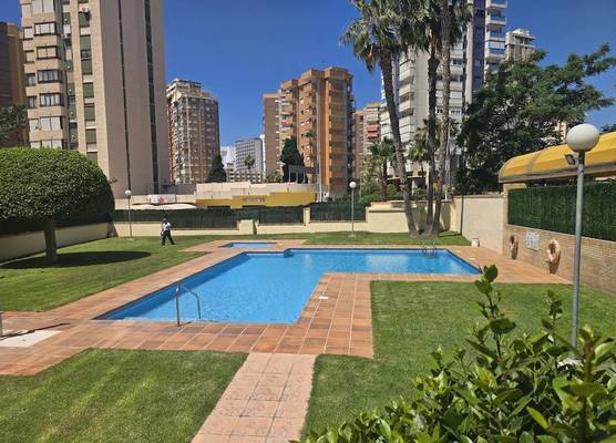 Torre Ipanema 12C in Benidorm 1