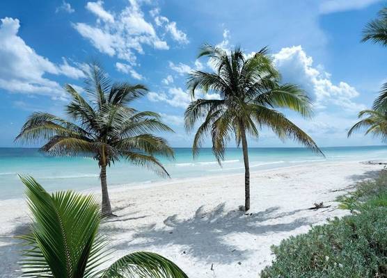 Hotel Pocna Tulum 1