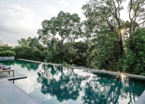 Treeline Urban Resort 1