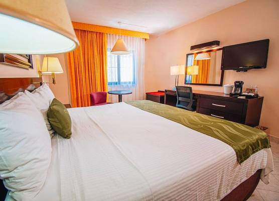 Eco City Hoteles 1