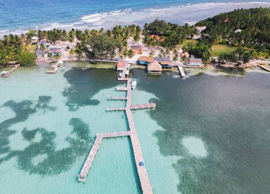 Blue Marlin Beach Resort 1