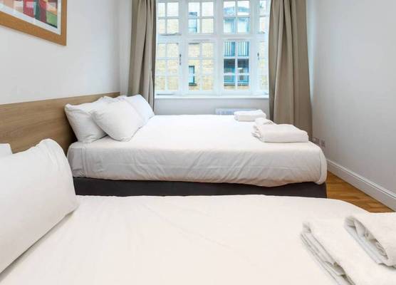 Newly Renovated 1BD Flat - Camden 1