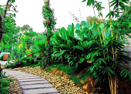 La Vista Resorts 1