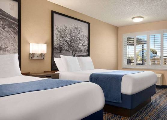Super 8 by Wyndham Lindsay Olive Tree 1