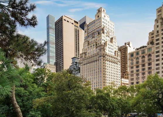 The Ritz-Carlton New York, Central Park 1