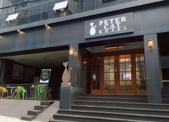 Petercat Hotel Shinchon 1
