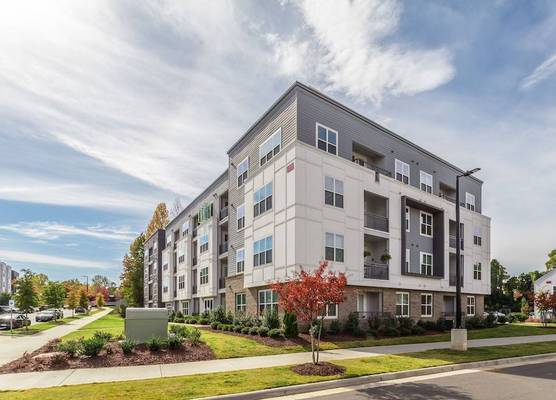 Kasa Freemorewest Charlotte 1