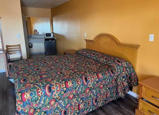 Palm Tree Inn 1
