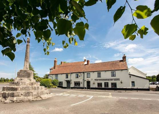 The Congresbury Arms 1
