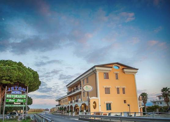 Palmed Hotel 1