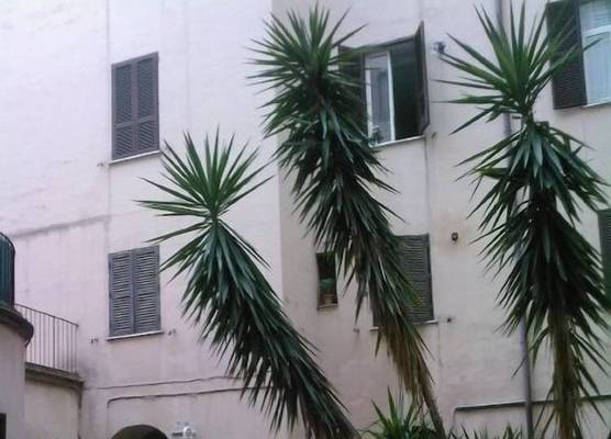 Roma Prince Inn accommodation 1