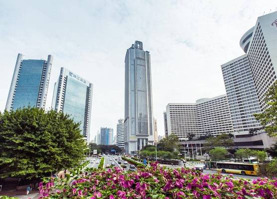 YOYO International Apartment 1