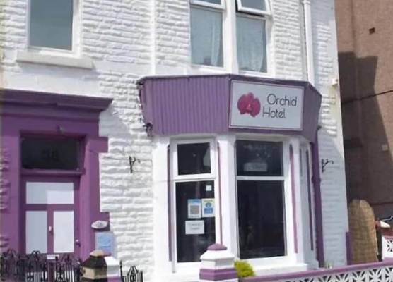 MyRoomz Orchid Hotel - Adults only 1