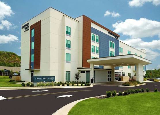 SpringHill Suites by Marriott Ellijay 1