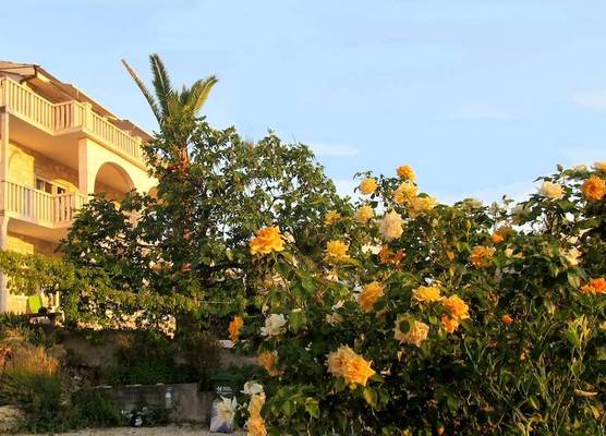 Villa PaPe 1