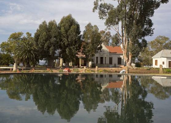 Rietfontein Ostrich Palace 1