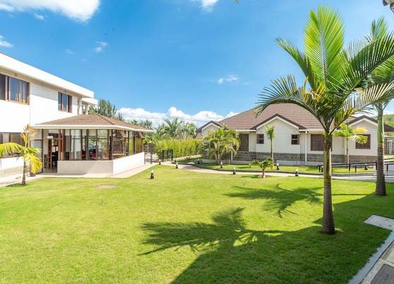Rock Hyrax Hotel 1
