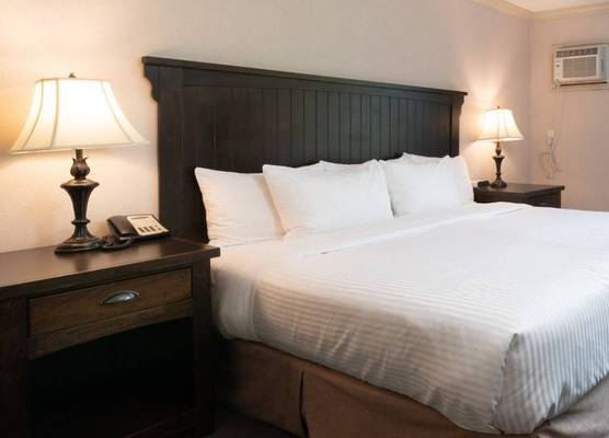 Prestige Inn Nelson 1