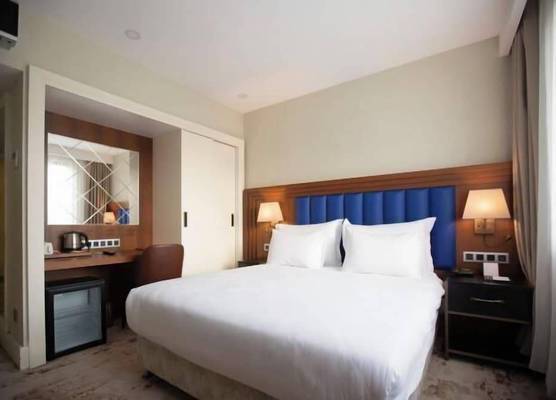 Ramada Plaza By Wyndham Istanbul Sultanahmet 1