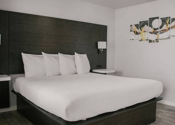 Bears Ears Inn 1
