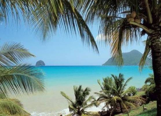 Le Paradis de l'Anse 1