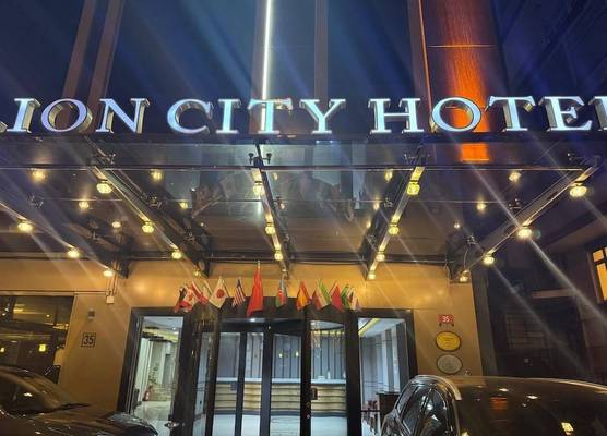 Lion City Hotel Kizilay 1