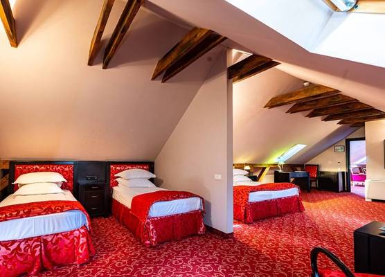 Hotel Central Park Sighisoara 1