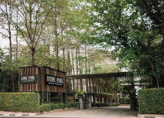 Lone Pine, Penang, a Tribute Portfolio Resort 1