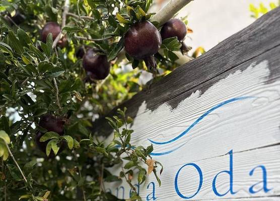 L'onda Oda Bodrum 1
