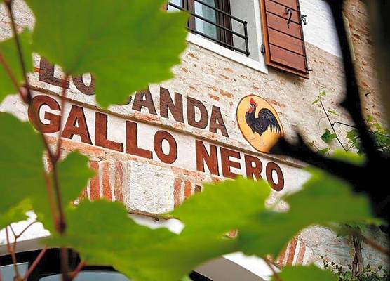 Al Gallo Nero 1