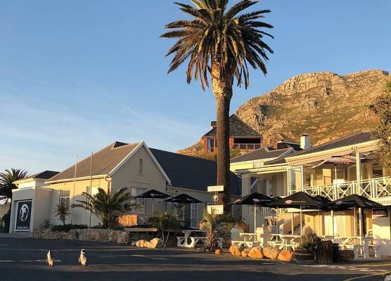 Boulders Beach Hotel and Restaurant 1
