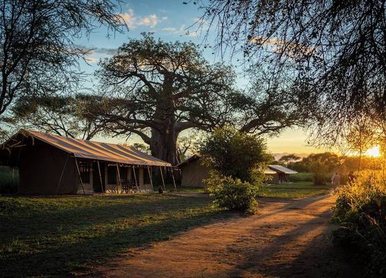 Baobab Tented Camp 1