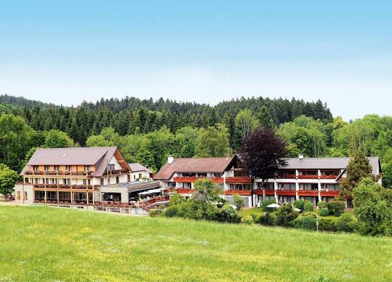 Hotel Grüner Wald 1