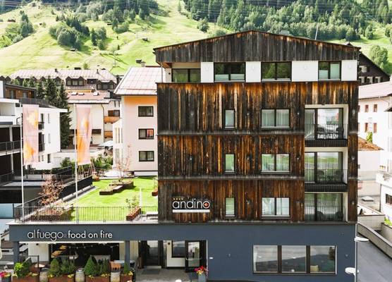 Hotel Andino 1