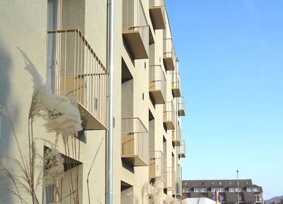 Campus Apartments 1