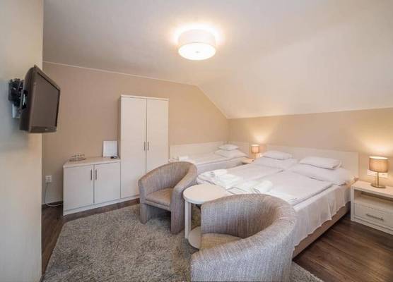 Tokajer Wellness Hotel 1